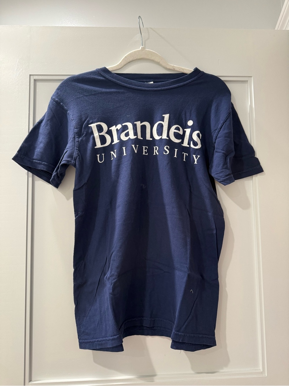 Brandeis short-Sleeve Navy Logo Tee